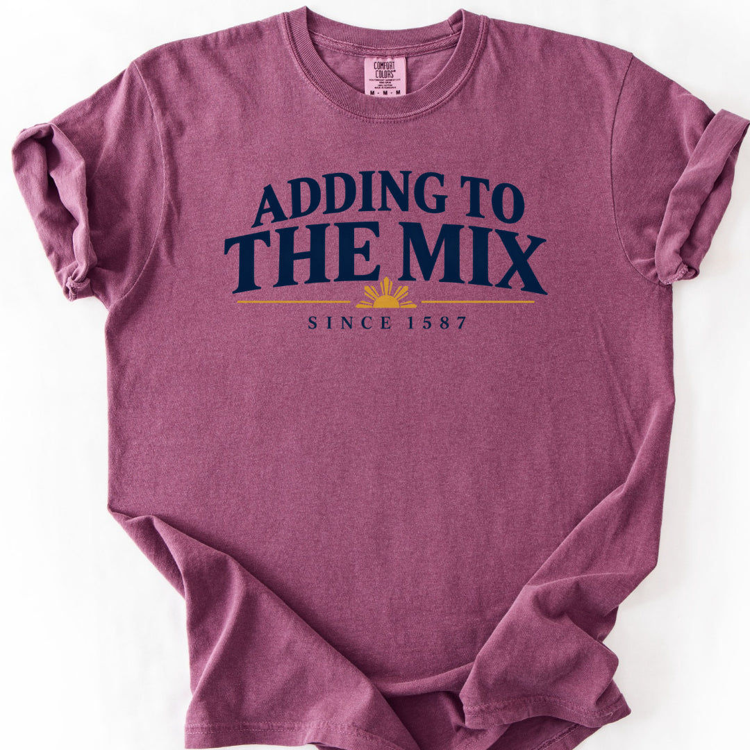 Adding to the Mix Since 1587 T-Shirt